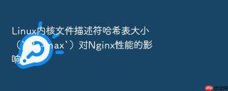Linux内核文件描述符哈希表大小（`file-max`）对Nginx性能的影响