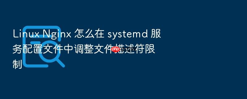 linux nginx 怎么在 systemd 服务配置文件中调整文件描述符限制