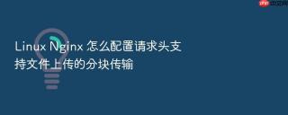 linux nginx 怎么配置请求头支持文件上传的分块传输
