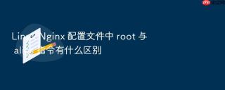 Linux Nginx 配置文件中 root 与 alias 指令有什么区别