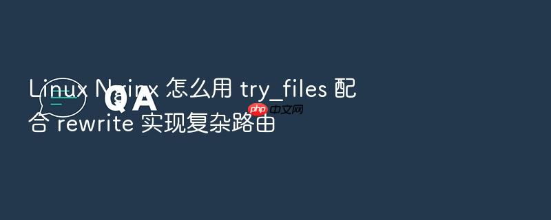 linux nginx 怎么用 try_files 配合 rewrite 实现复杂路由
