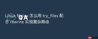 Linux Nginx 怎么用 try_files 配合 rewrite 实现复杂路由