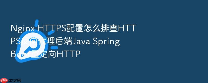 nginx https配置怎么排查https反向代理后端java spring boot重定向http