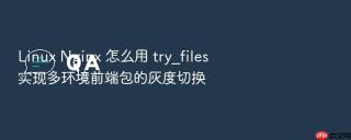 linux nginx 怎么用 try_files 实现多环境前端包的灰度切换
