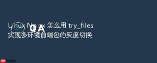 Linux Nginx 怎么用 try_files 实现多环境前端包的灰度切换