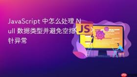javascript 中怎么处理 null 数据类型并避免空指针异常