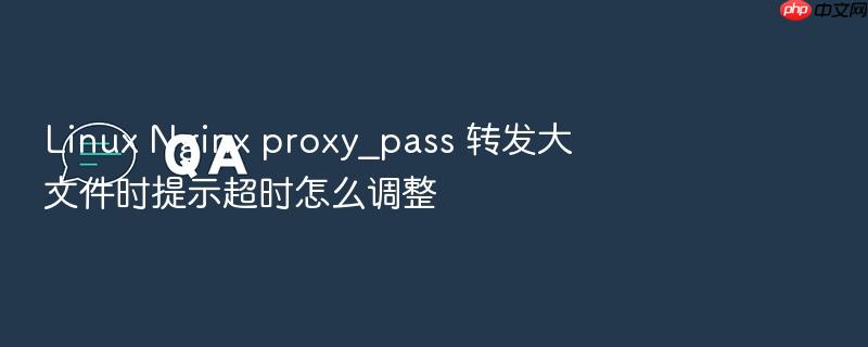linux nginx proxy_pass 转发大文件时提示超时怎么调整