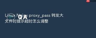 linux nginx proxy_pass 转发大文件时提示超时怎么调整