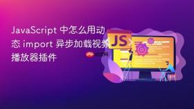 JavaScript 中怎么用动态 import 异步加载视频播放器插件