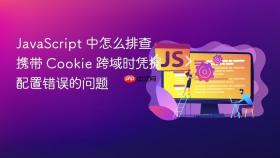 javascript 中怎么排查携带 cookie 跨域时凭据配置错误的问题