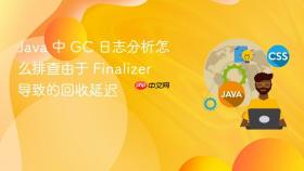 Java 中 GC 日志分析怎么排查由于 Finalizer 导致的回收延迟