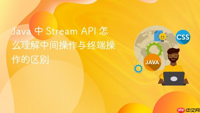 java 中 stream api 怎么理解中间操作与终端操作的区别