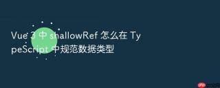 Vue 3 中 shallowRef 怎么在 TypeScript 中规范数据类型