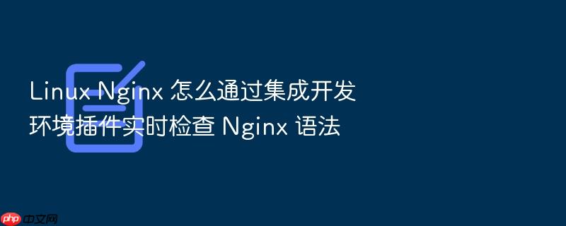 linux nginx 怎么通过集成开发环境插件实时检查 nginx 语法