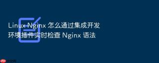 linux nginx 怎么通过集成开发环境插件实时检查 nginx 语法