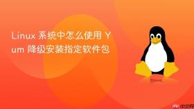 linux 系统中怎么使用 yum 降级安装指定软件包