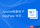 Apache排查在`ProxyPass`中开启`keepalive=On`等参数时的键值对语法规则