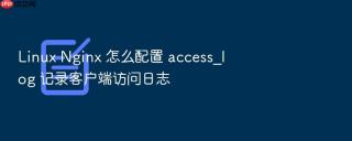 Linux Nginx 怎么配置 access_log 记录客户端访问日志