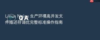 Linux Nginx 生产环境高并发文件描述符调优完整标准操作指南
