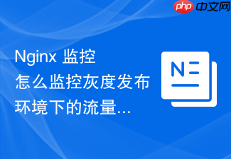nginx 监控怎么监控灰度发布环境下的流量切分与响应指标