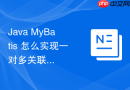 Java MyBatis 怎么实现一对多关联查询的集合映射与优化