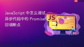 javascript 中怎么调试异步代码中的 promise 回调断点