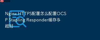 nginx https配置怎么配置ocsp stapling responder缓存与超时