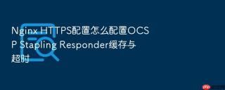 Nginx HTTPS配置怎么配置OCSP Stapling Responder缓存与超时