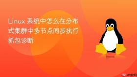 linux 系统中怎么在分布式集群中多节点同步执行抓包诊断