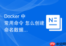 Docker 中 常用命令 怎么创建命名数据卷持久化