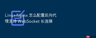 linux nginx 怎么配置反向代理支持 websocket 长连接