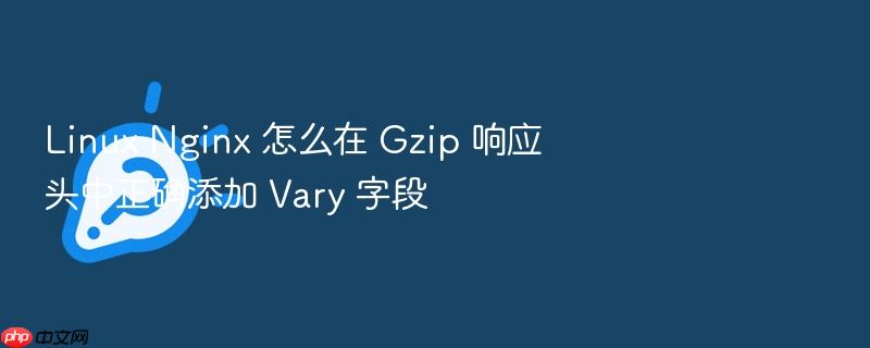 linux nginx 怎么在 gzip 响应头中正确添加 vary 字段