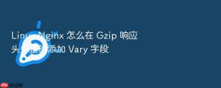 linux nginx 怎么在 gzip 响应头中正确添加 vary 字段