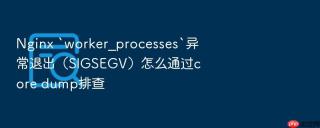 nginx `worker_processes`异常退出(sigsegv)怎么通过core dump排查