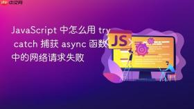 JavaScript 中怎么用 try catch 捕获 async 函数中的网络请求失败