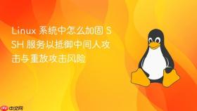 linux 系统中怎么加固 ssh 服务以抵御中间人攻击与重放攻击风险