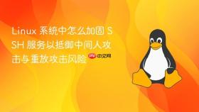 Linux 系统中怎么加固 SSH 服务以抵御中间人攻击与重放攻击风险