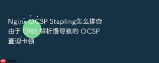 Nginx OCSP Stapling怎么排查由于 DNS 解析慢导致的 OCSP 查询卡顿