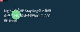nginx ocsp stapling怎么排查由于 dns 解析慢导致的 ocsp 查询卡顿