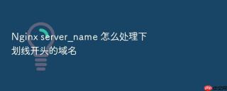 Nginx server_name 怎么处理下划线开头的域名