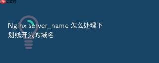 nginx server_name 怎么处理下划线开头的域名