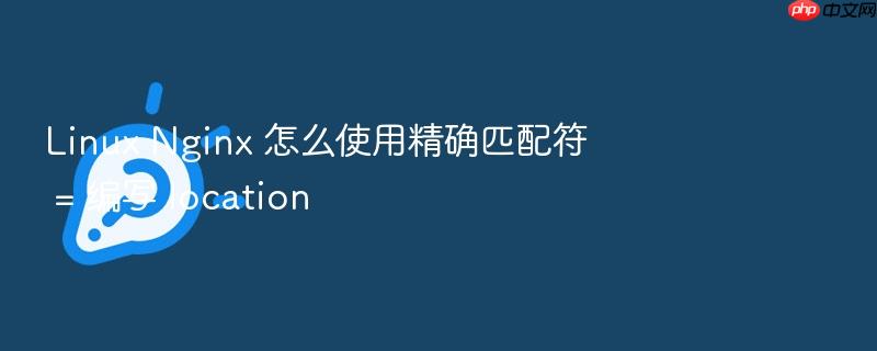 linux nginx 怎么使用精确匹配符 = 编写 location
