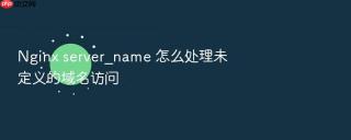 nginx server_name 怎么处理未定义的域名访问