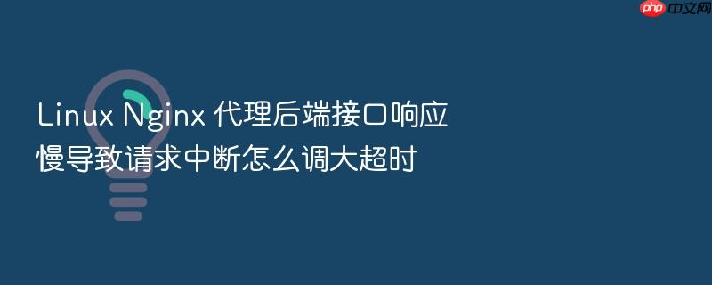 linux nginx 代理后端接口响应慢导致请求中断怎么调大超时