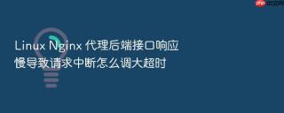 linux nginx 代理后端接口响应慢导致请求中断怎么调大超时