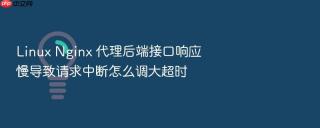 Linux Nginx 代理后端接口响应慢导致请求中断怎么调大超时