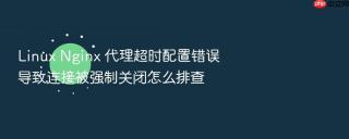 Linux Nginx 代理超时配置错误导致连接被强制关闭怎么排查