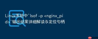 linux系统中`lsof -p <nginx_pid>`输出结果详细解读与定位句柄