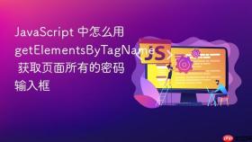javascript 中怎么用 getelementsbytagname 获取页面所有的密码输入框