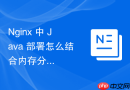 nginx 中 java 部署怎么结合内存分析工具检测内存泄漏